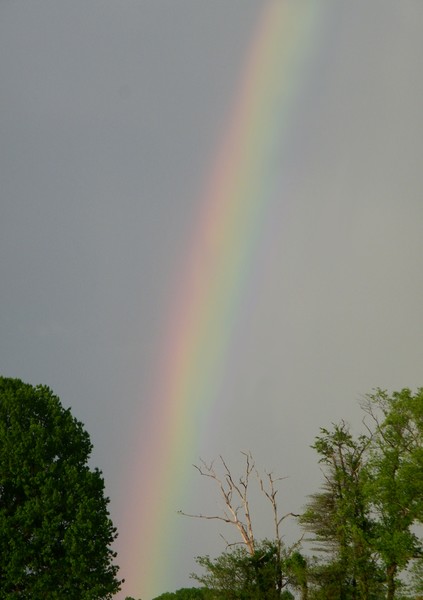 Somewhere... Over the Rainbow