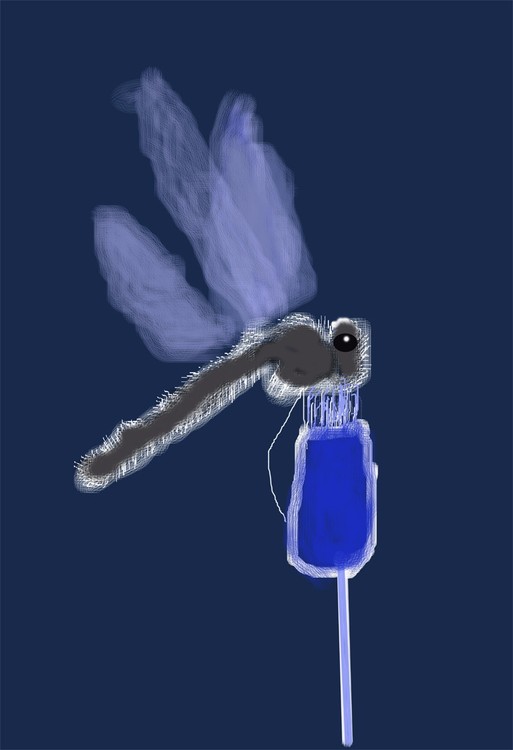 Dragonfly (O808)