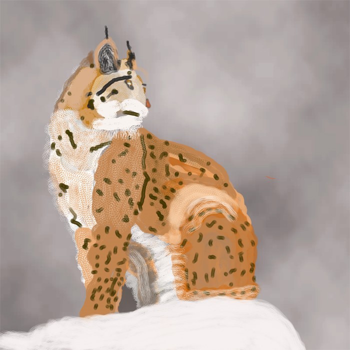 Bob Cat O832