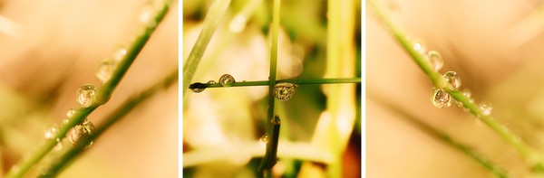 After the last rain