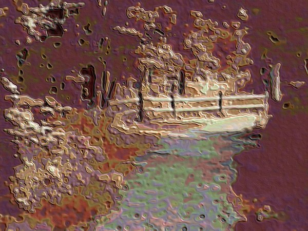 The Old Path in the Forest