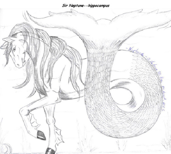 Sir Neptune--hippocampus