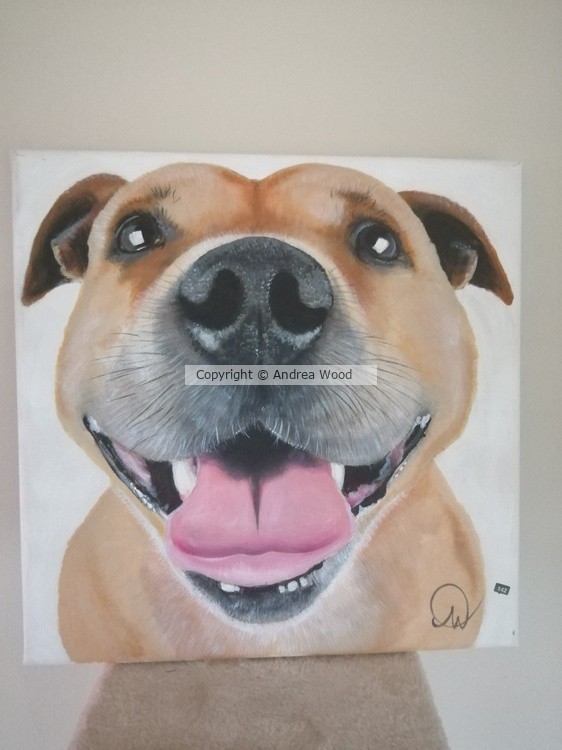 Staffie