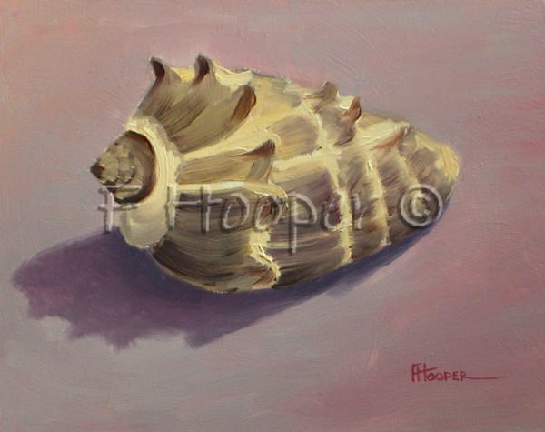 Shell II