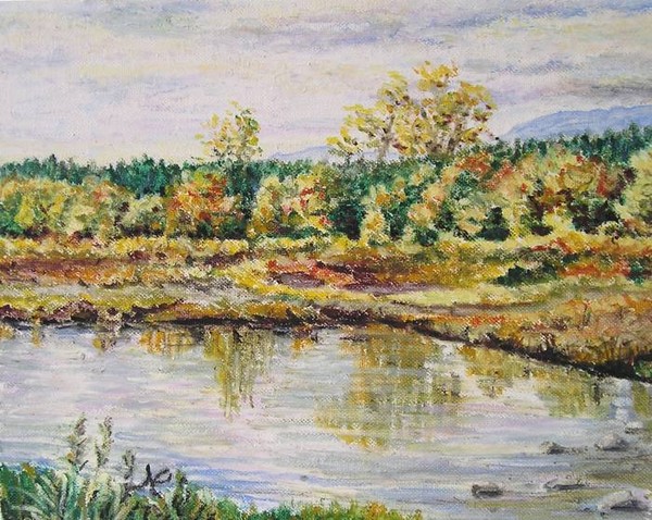 River Drau in autumn