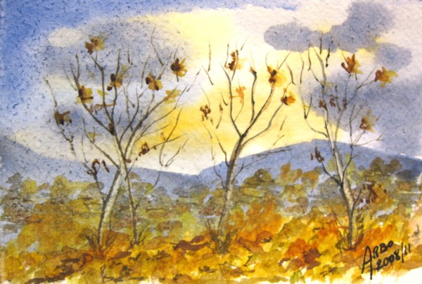 late fall 