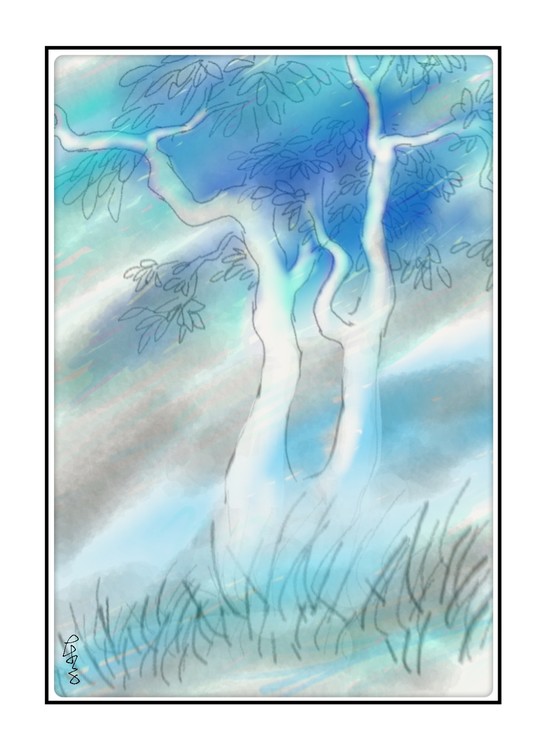Tree Twins
