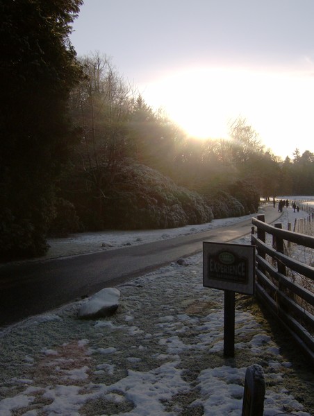 A Walk at the Hilton
