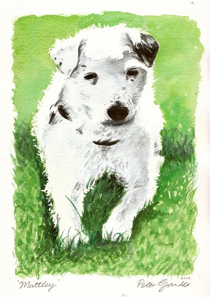 Muttley