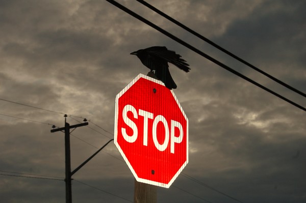 is it a sign?