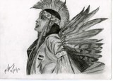 Indian Chief