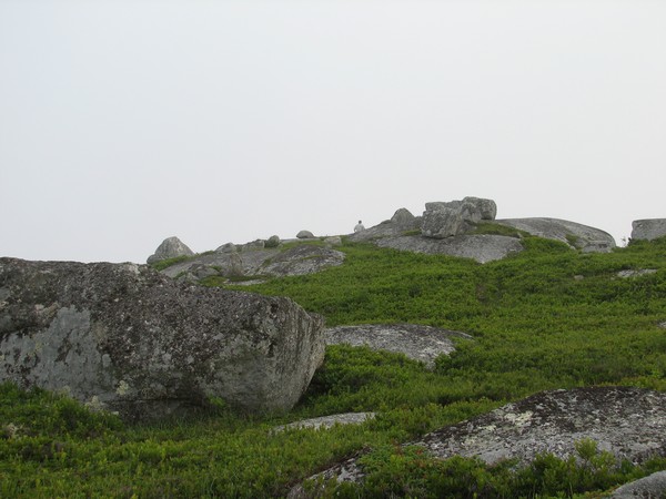Puny Husband in Pollys cove landscape