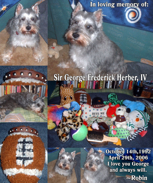 In Memory of George...