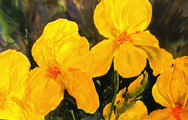 IRISES