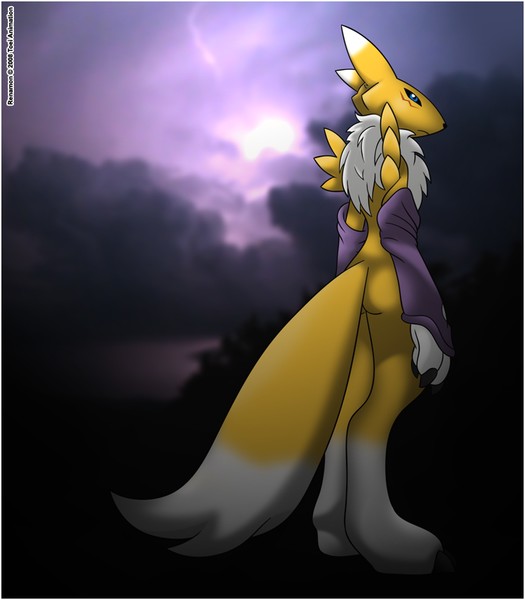 Renamon in the Dark Clouds