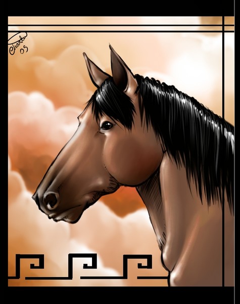 Equine portrait