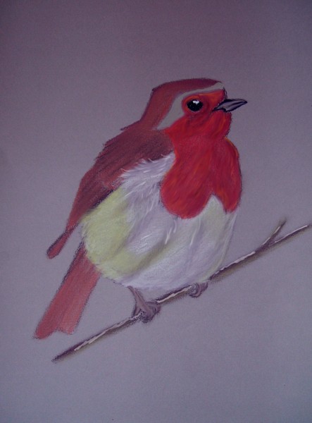 Robin