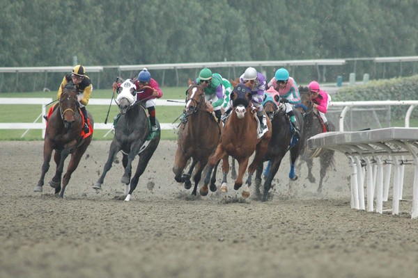 Rounding the last turn