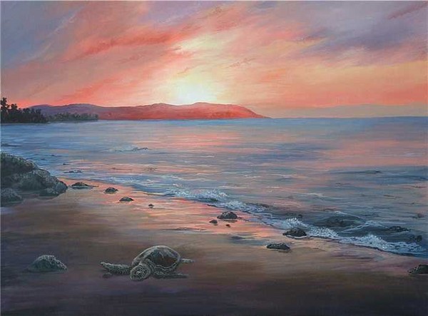 Hawaii sunset
