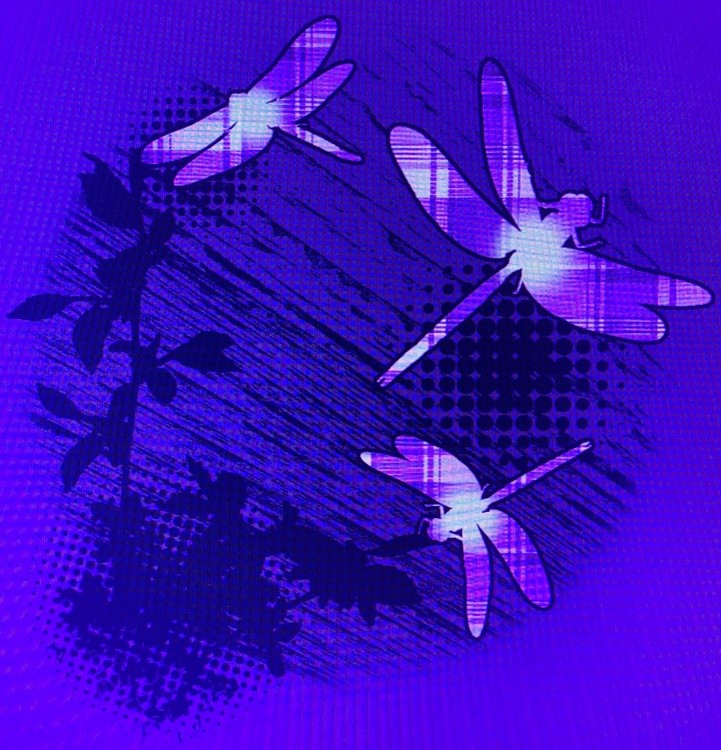 E5F9149F-F219-491A-AF82-392A8C9867F7