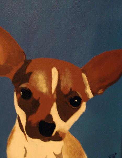 Chihuahua