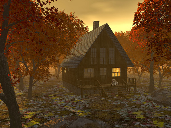 Solitude