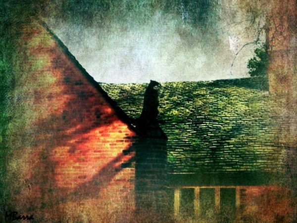 The Watcher