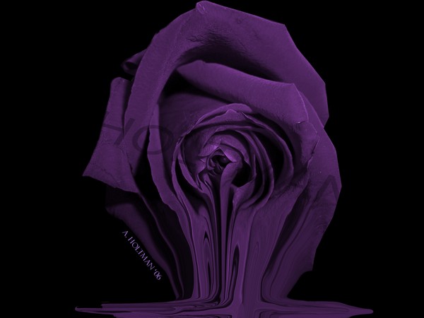 Purple Heat