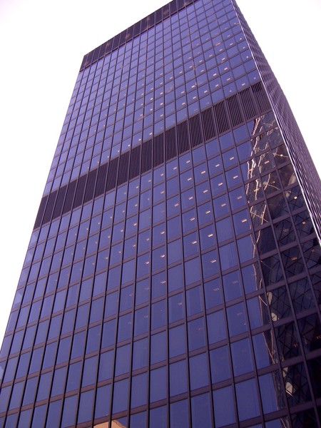 Gherkin's reflection