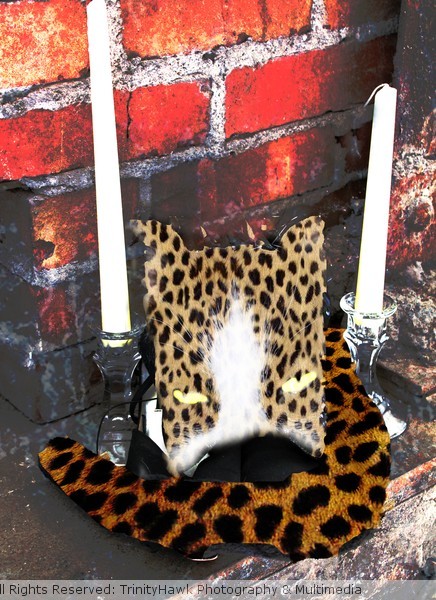 cheetah copy