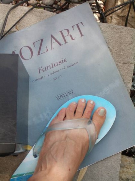 A M Oz Art