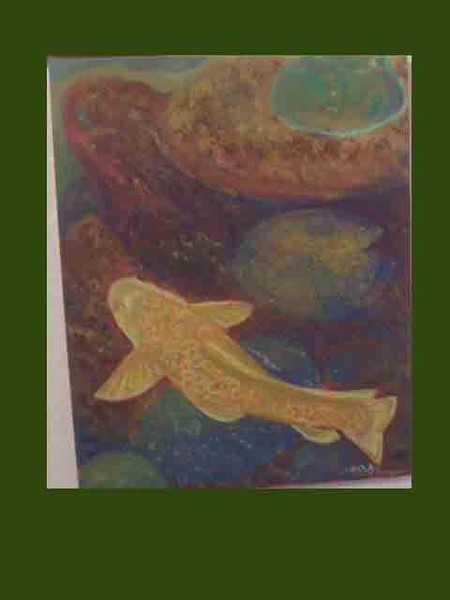 koi2