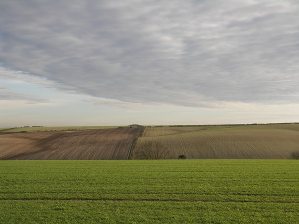 Rolling Fields