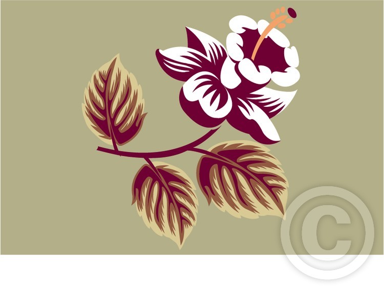 flower 7