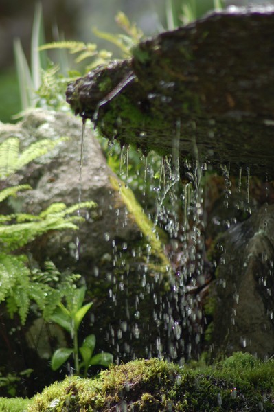 Zen Waterfall