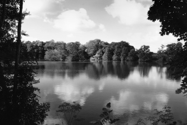 REFLECTIONS IN MONO