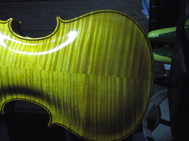 Violin Back