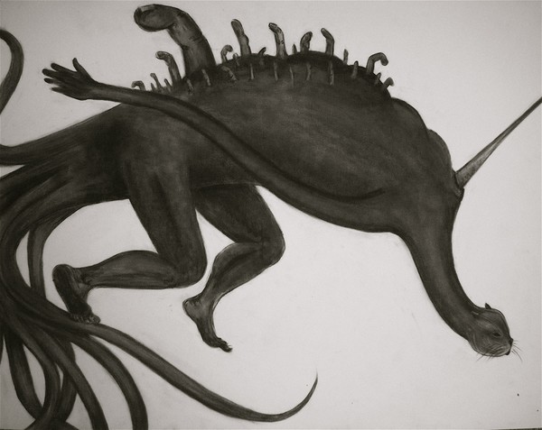 Sea Creature