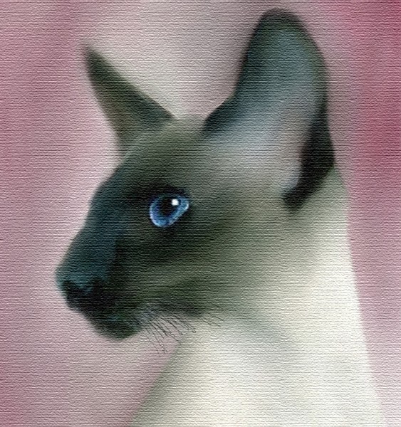 Eastern Beauty.