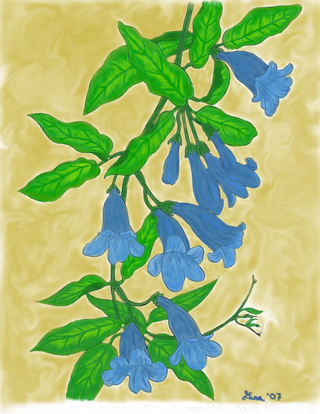 Blue Flowers