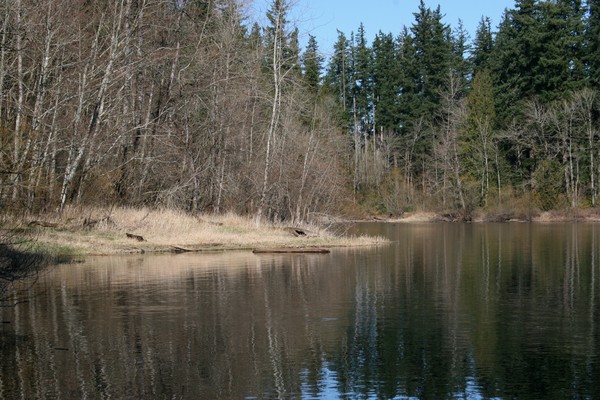 Winter??? at Deep Lake