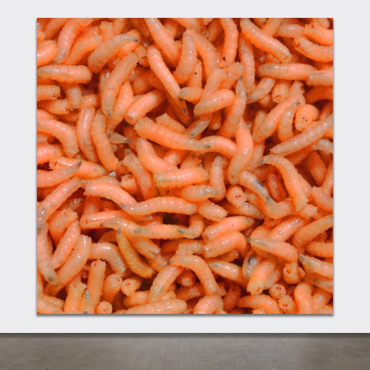 Re: ANDREW CAMPBELL: BRITISH ARTIST: ART STUDIO PROTOTYPES: ANTHROPOLOGICAL NETSCAPES: 34