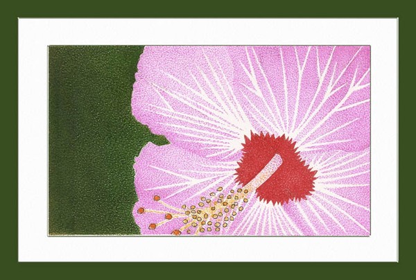 Flor do campo