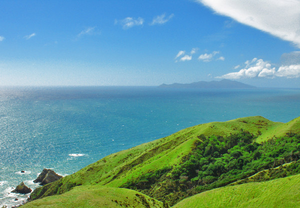 Misty Kapiti