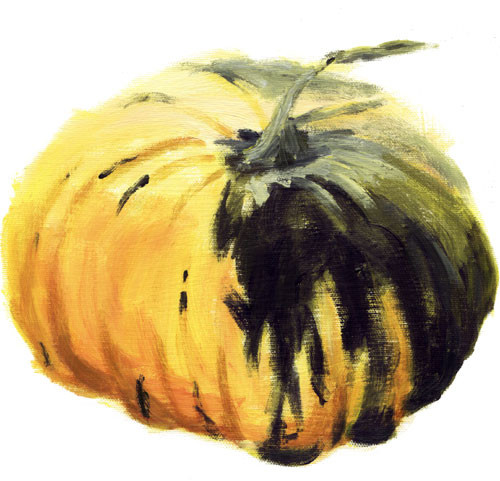 Saucer Squash