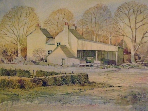 Farm at Middleton St. George