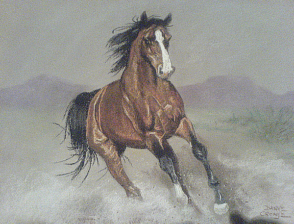 Restless horse