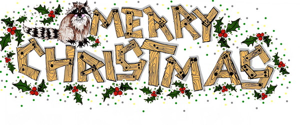 Merry Christmas Raccoon