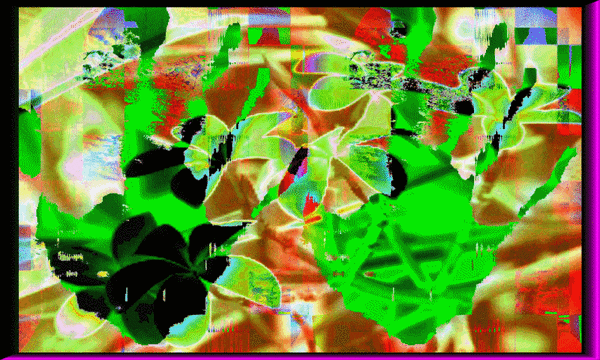 Hand Jive #3