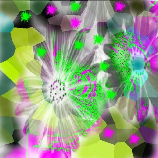 FLORAL Images